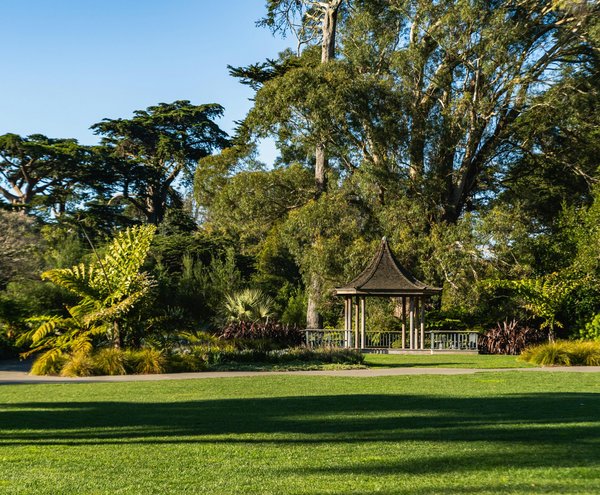 Dosage optimal de roundup : votre guide rapide et pratique